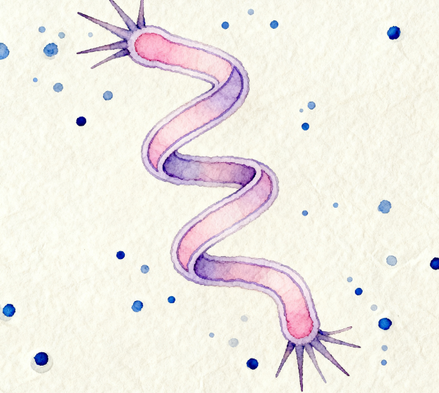 微生物細菌檢測儀