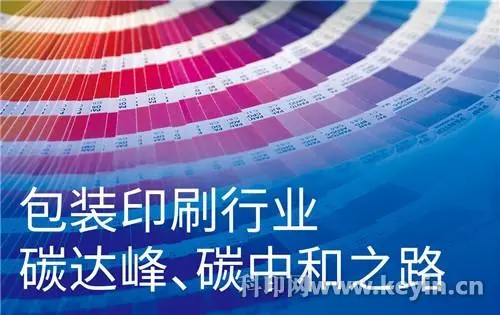 煙臺市政協委員張彤：促進印刷行業集團化運作